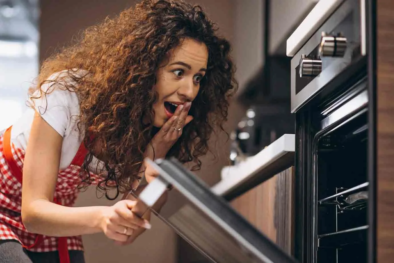 Oven Repair Dubai
